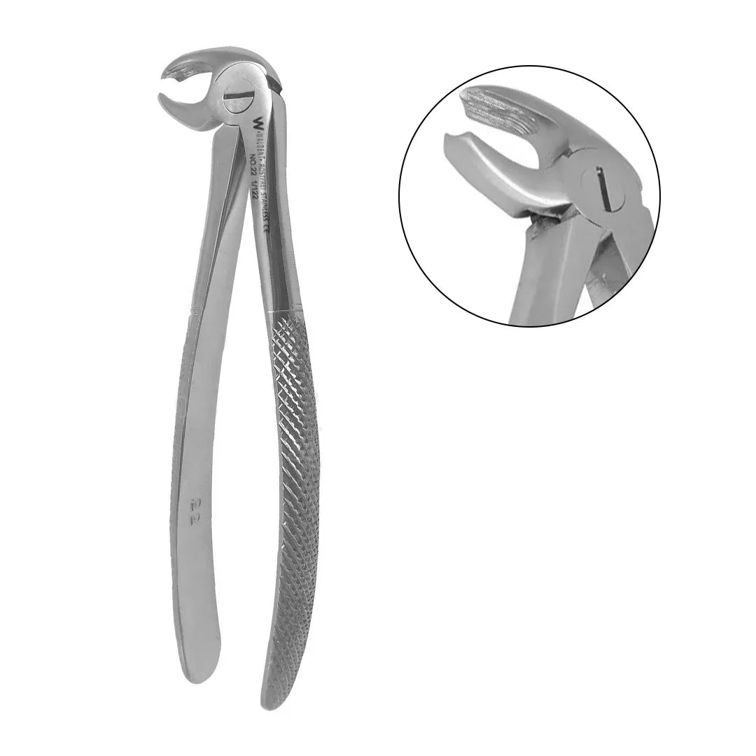 Lower molar forceps